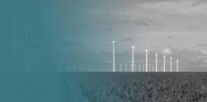 field of wind turbines