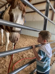 a child with a horse